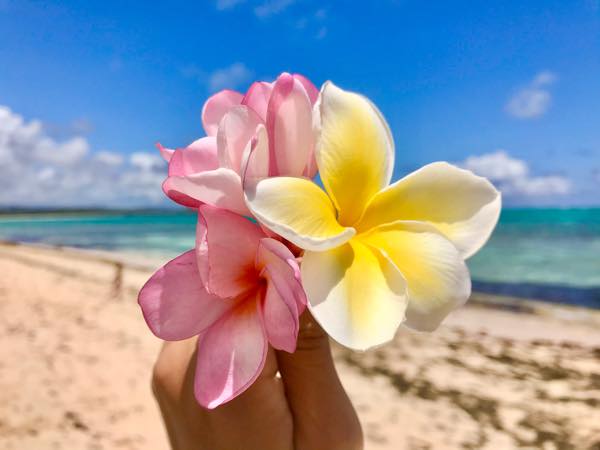 KOʻOLUA