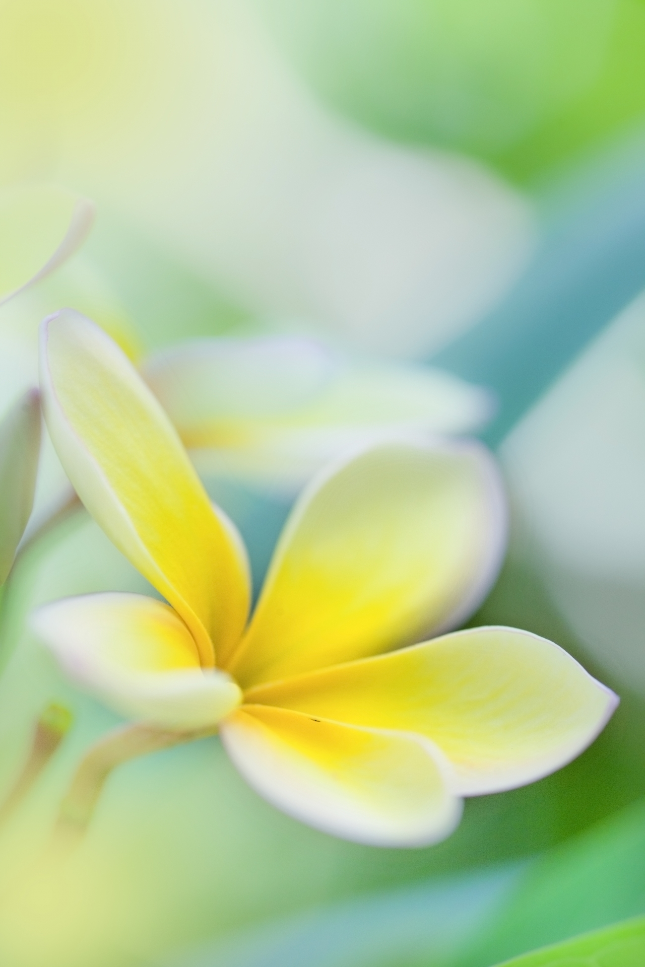 高木えいこウクレレ教室主催　～ハワイなハッピータイムライブ～